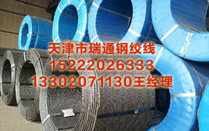 阿里公路钢绞线						 山东惜败圳，两东谈主或挨批东谈主恐下课